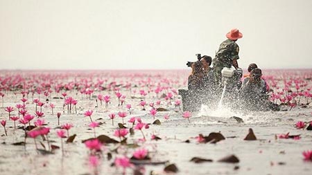 نون هانگ دریاچه ای پوشیده از نیلوفر در تایلند + عکس